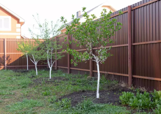 Good Neighbour Fencing Service | Adelaide Good Neighbor Fencing Installation