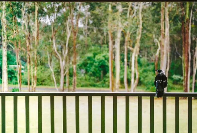 Tubular Fencing Suppliers & Manufacturers | Adelaide Tubular Aluminum Fencing