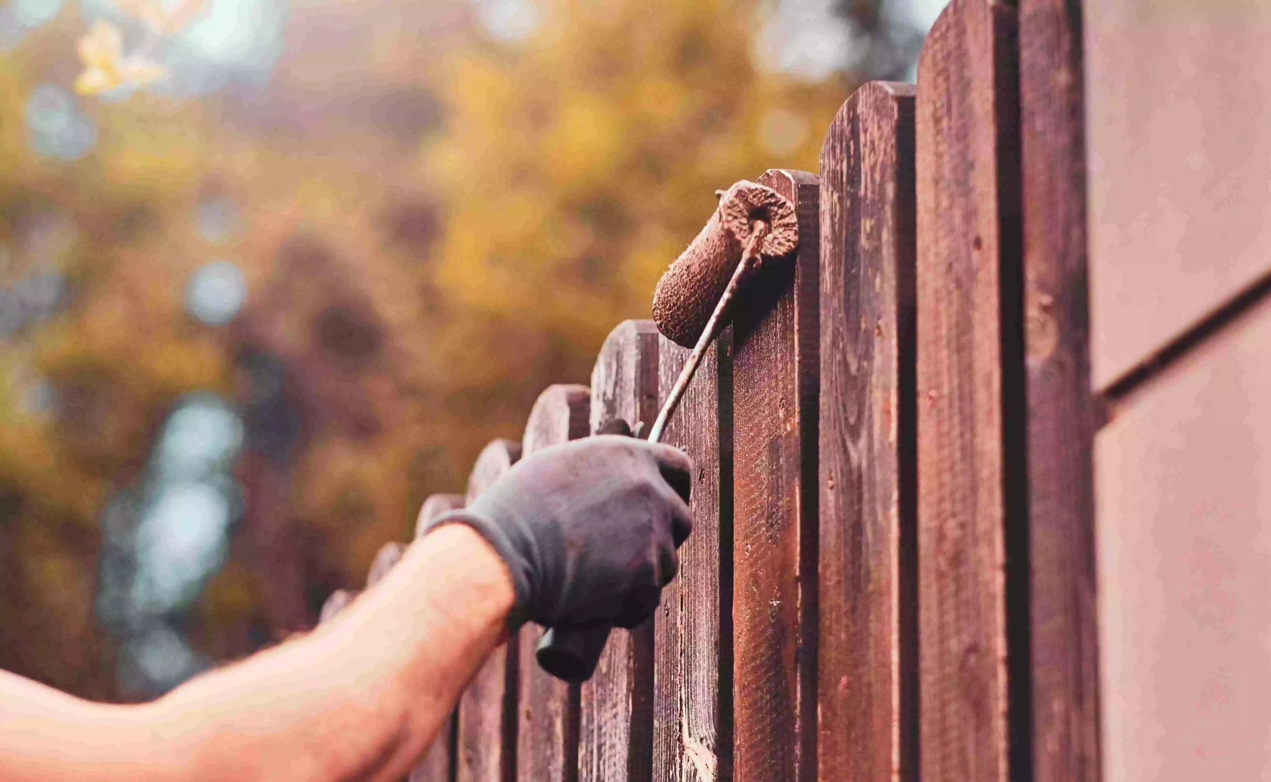 diligent man is painting fence with brush